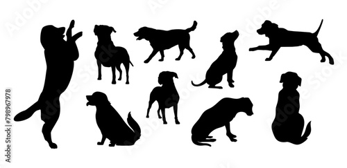 Vector silhouette of a dog on a white background.
