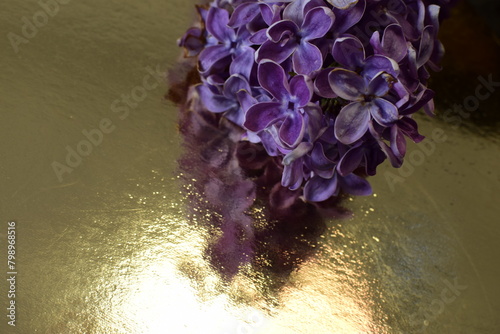 Lila Flieder mit goldenem Hintergrund