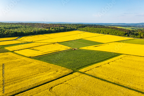 Flowering rapeseed fields from a bird's eye view in Taunus/Germany