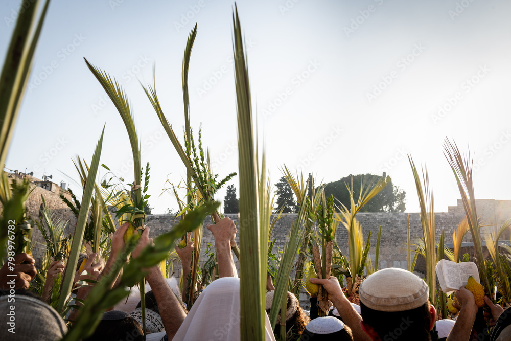 Fototapeta premium Worshippers at the Western Wall in Jerusalem raise a lulav or closed palm frond while praying on Hoshana Rabbah, the seventh day of the Jewish holiday of Sukkot.