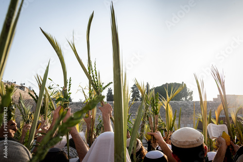 Worshippers at the Western Wall in Jerusalem raise a lulav or closed palm frond while praying on Hoshana Rabbah, the seventh day of the Jewish holiday of Sukkot. photo