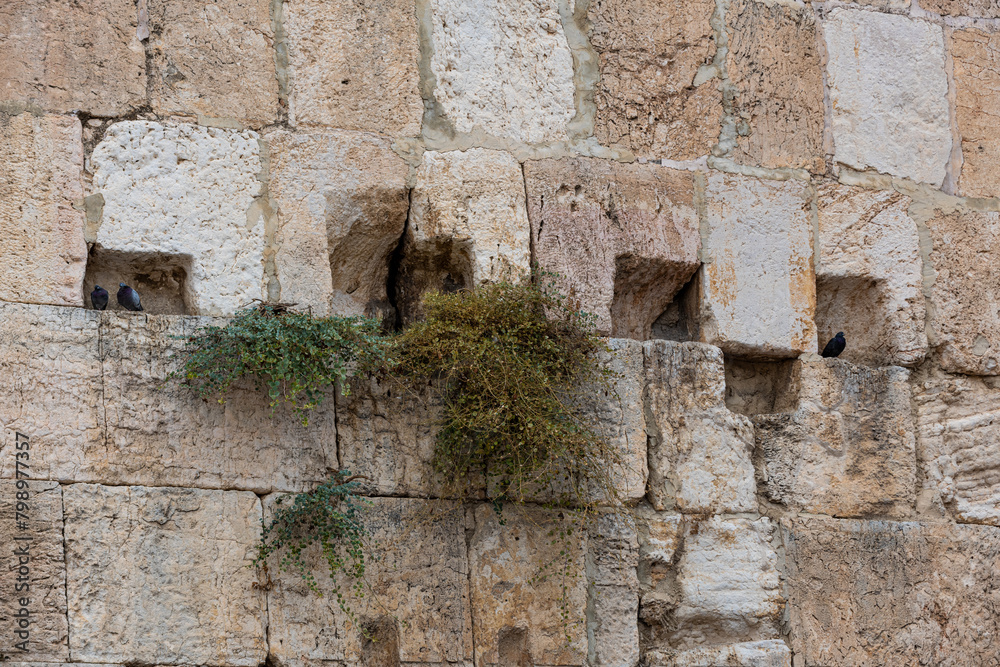 Detail of a section of stones of the Western Wall, one of the holiest sites in Judaism, located in Jerusalem, Israel.