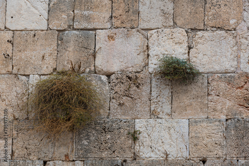 Detail of a section of stones of the Western Wall, one of the holiest sites in Judaism, located in Jerusalem, Israel. photo