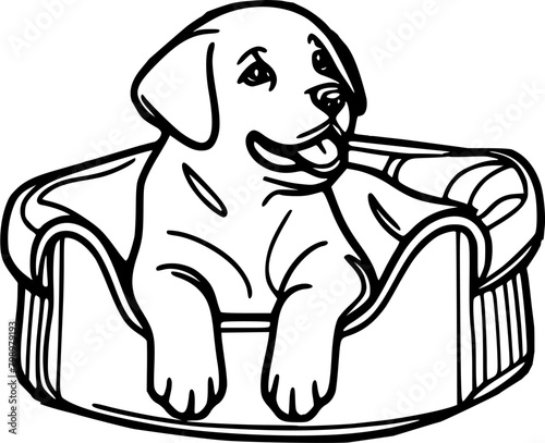 Cute dog in bed pet vector illustration