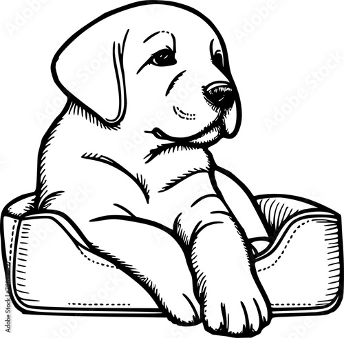 Dog in bed pet outline illustration 