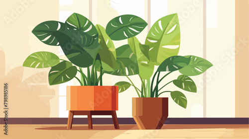Interior house plant growing in pot. Leaf houseplan