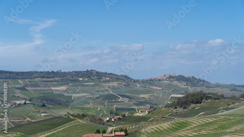 Amazing landscape of the vineyards of Langhe in Piemonte in Italy during spring time. The wine route. An Unesco World Heritage. Natural contest. Rows of vineyards © Matteo Ceruti