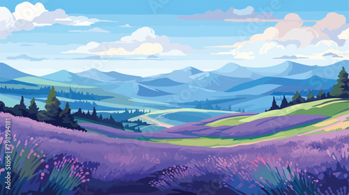 Lavender field on hills nature landscape background