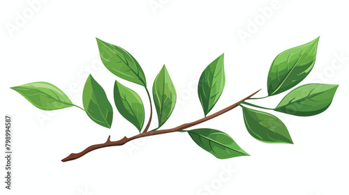 Leaf branch. Green leaves on twig botany drawing in photo