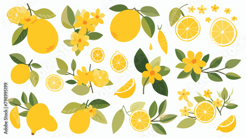 Lemons citrus set. Yellow tropical fruit. Whole hal photo