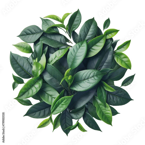 Tea lef leaves isolated on transparent background Ai generative.