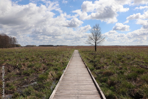 Wallpaper Mural Poleski Park Narodowy - ścieżki dydaktyczne Torontodigital.ca
