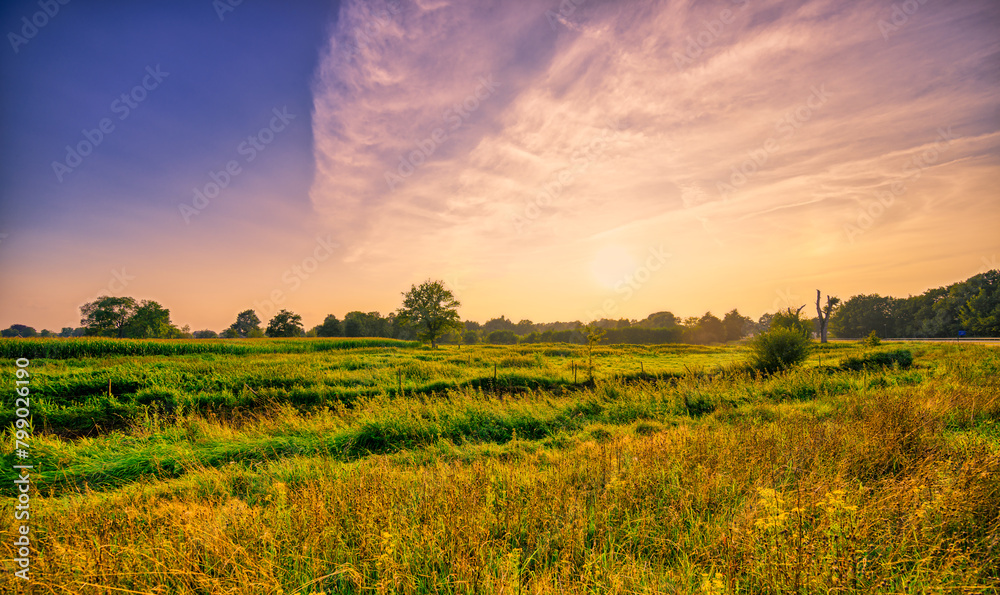 Obraz premium Sunset over the meadows of the pastoral landscape of Noord-Brabant, The Netherlands.