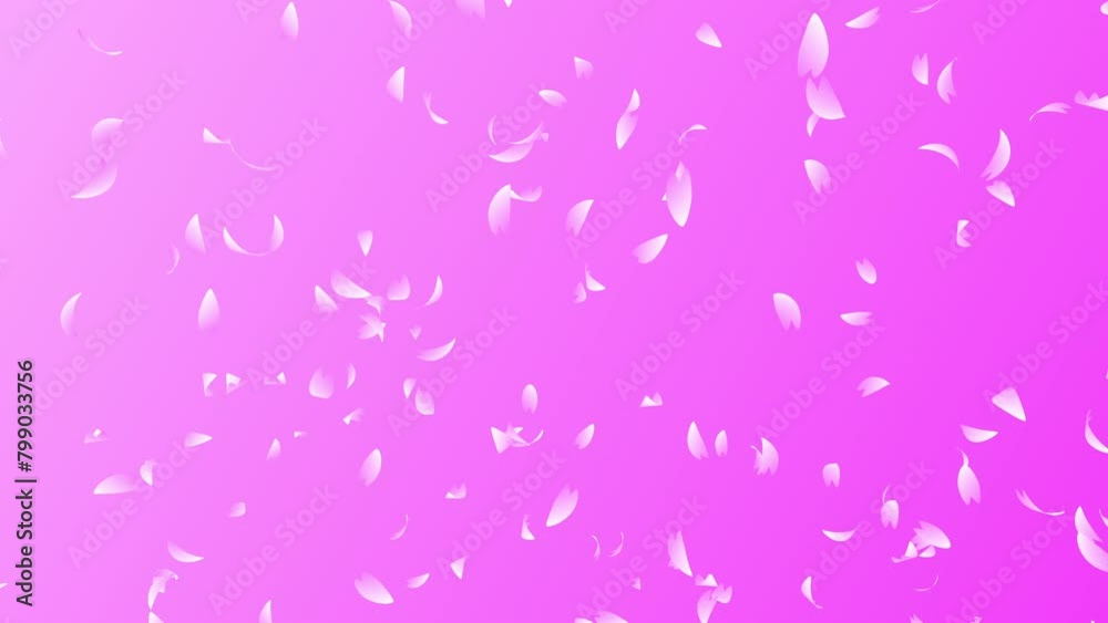 Pink cherry petals flowing and moving up on pink background. Abstract background with a scene of Spring time in Japan. Pink cherry petals flowing and moving up on pink background. Abstract background with a scene of Spring time in Japan.