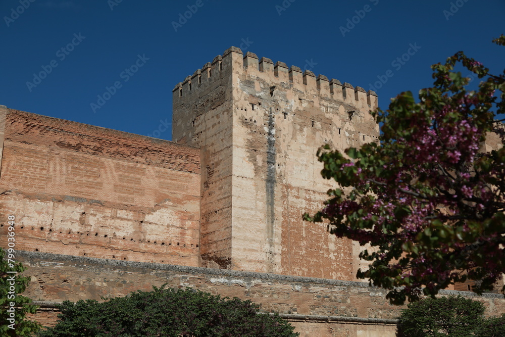 Fototapeta premium alhambra granada, spain