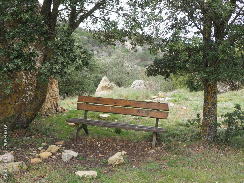 banco de madera entre dos alcinas, al fondo el barranco de los calvos, en la sierra del montsant, alvarca, tarragona, españa banco de madera entre dos alcinas, al fondo el barranco de los calvos, en la sierra del montsant, alvarca, tarragona, españa