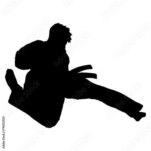 taekwondo kick vector