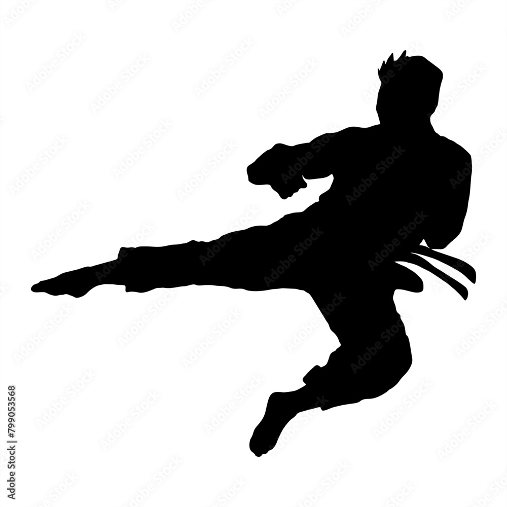 taekwondo kick vector