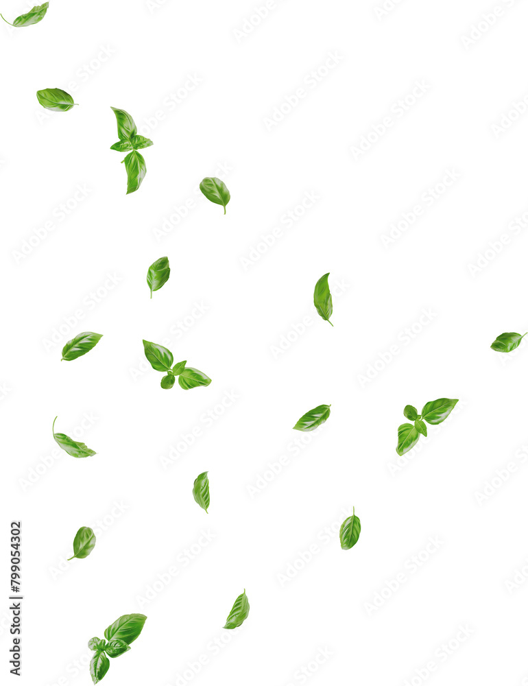 falling basil leaves falling basil leaves