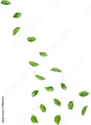 falling basil leaves