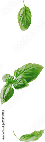 flying basil leaves