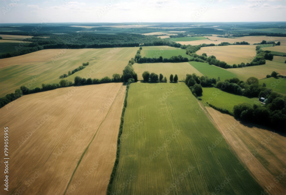 meadows summer view day fields Aerial Nature Grass Landscape Green Farm Agriculture Environment Field Beautiful Farming Meadow Farmland Outdoor Rural Above