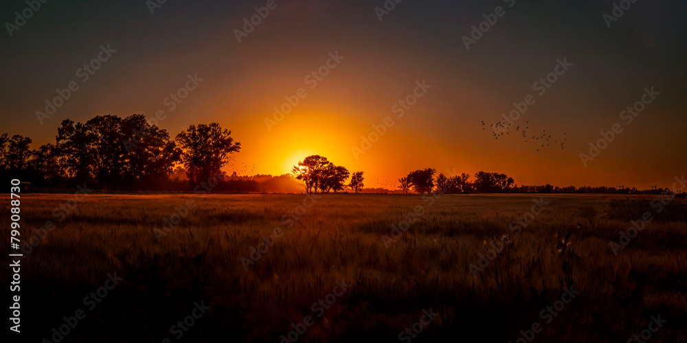 Sunser panorama. sunset in the countryside