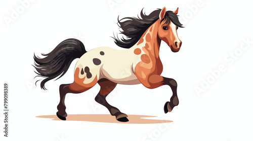 Pony small little horse breed. Spotted stallion foa © Pixel