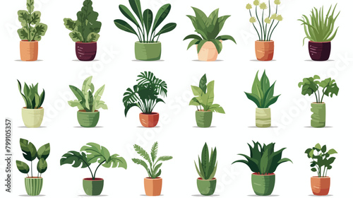 Potted house plants set. Houseplants growing in pla photo