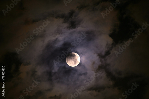 full moon in the night