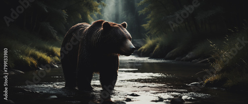 illustrazione di orso bruno che attraversa un ruscello photo