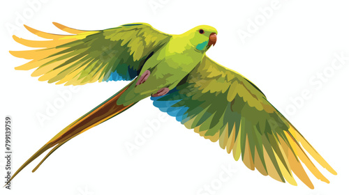 Ring-necked parrot flying. Tropical Indian ringneck