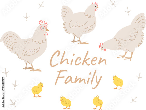 Cute doodle chicken family members. Hand drawn linear chicken, rooster and adorable chicks in different poses, isolated on white. Stylized vector cartoon illustration. Domestic farm birds. Full length (ID: 799140787)