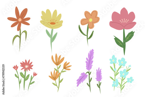 clipart of flower collection with pastel colors, flower stalk and blooming petals 