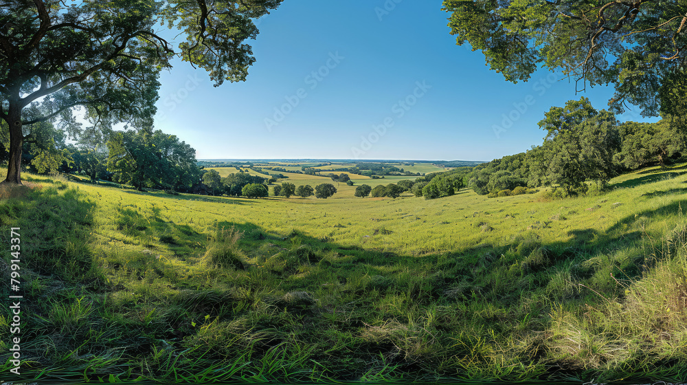 A panoramic view of the meadow in France, captured with an ultrawide lens to showcase its expansive beauty and lush greenery under clear blue skies. Created with Ai