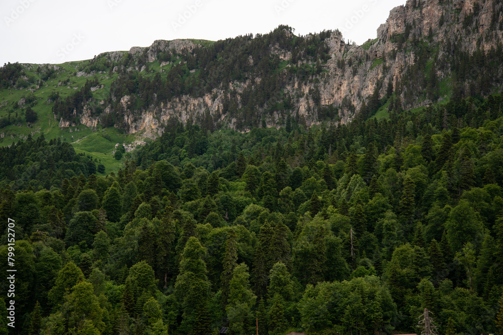 Beautiful mountain landscape in early spring.