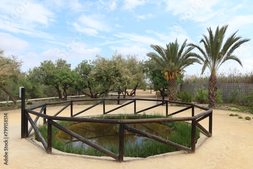 El Hondo Natural Park, Crevillente, Alicante, Spain, April 18, 2024: Garden with a small lagoon in the Interpretation Center of the El Hondo Natural Park