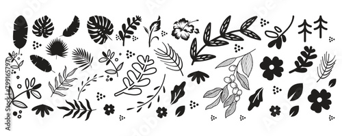 vector contour branch and leaves compositions. Elegant branches for decoration. hand drawing monochrome botanical illustration for backgrounds. 