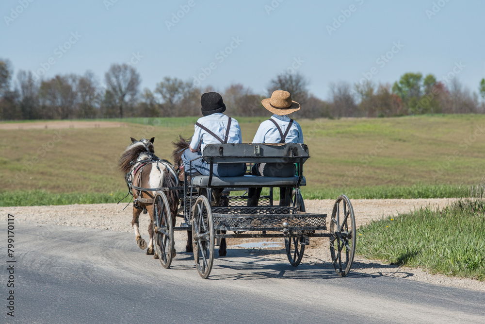 Amish boys in pony cart