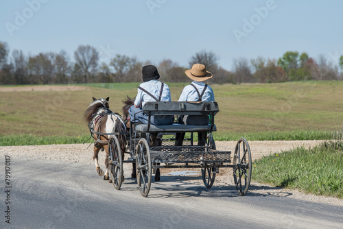 Amish boys in pony cart © David Arment