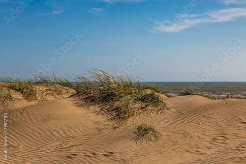 Marram grass covered sand dunes at Camber in East Sussex, on a sunny day