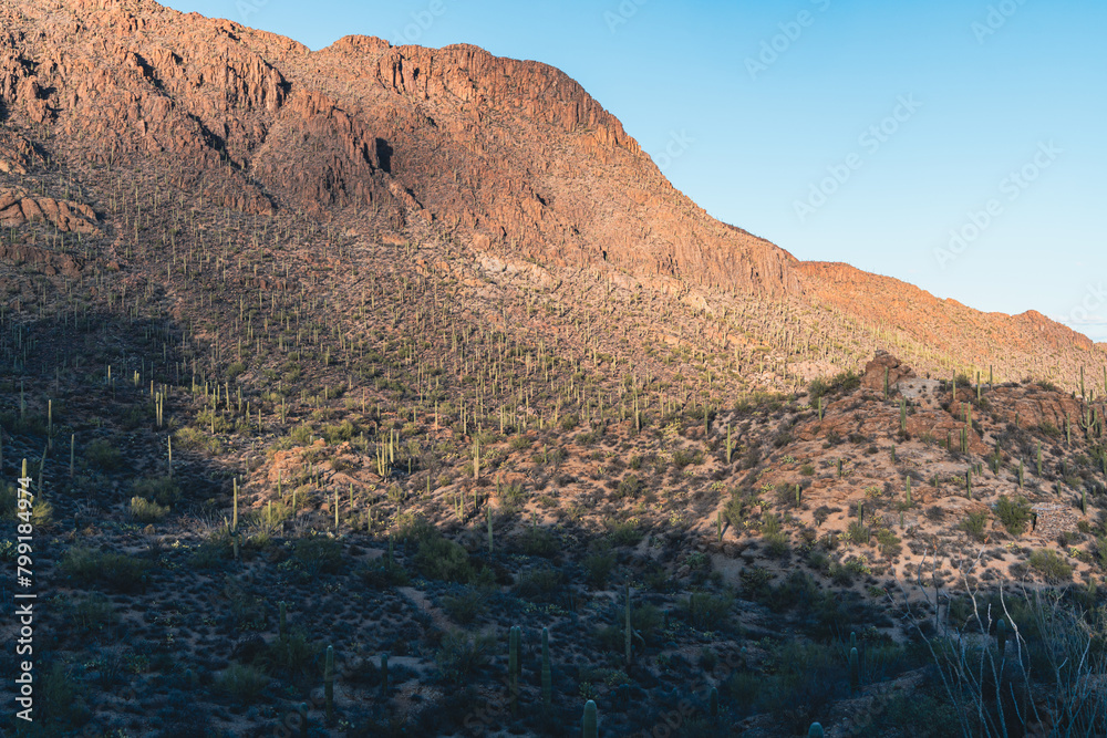 Obraz premium Gates Pass in Tucson Arizona, saguaro cactus on mountainside