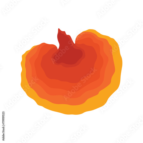 Vector illustration of Reishi Ganoderma lucidum mushroom set. Colored vector illustration of mushrooms on white background. Edible flat mushrooms. Perfect for recipe, menu, label, packaging.