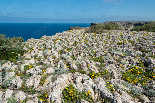 Rocas calcáreas en el Cabo de San Vicente, Portugal photo