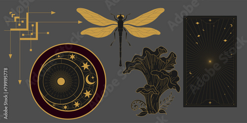 Vector mystic celestial set a with golden outline mushrooms, fly agaric, penny bun, crescents and moon phases. Black occult shiny linear labels with a magical frame stylized as engraving