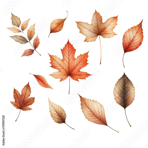 Autumn leaves collection isolated on transparent background. AI 