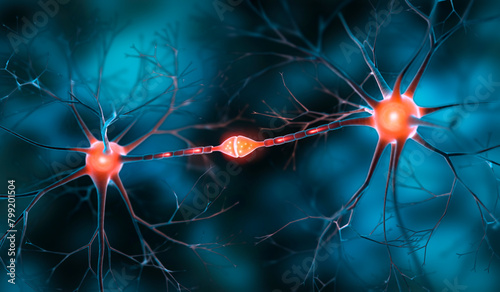 Two interacting nerve cells connected with synapse - 3D illustration