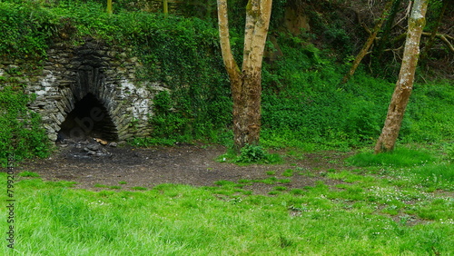 Des ruines dans la région de la Bretagne, des murs pris ou couvert de vaste végétation et de verdure, vers bien clair, de la pierre historique, exploration, lierres à perte de vue, manque d'entretien,