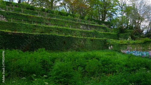 Des ruines dans la région de la Bretagne, des murs pris ou couvert de vaste végétation et de verdure, vers bien clair, de la pierre historique, exploration, lierres à perte de vue, manque d'entretien,