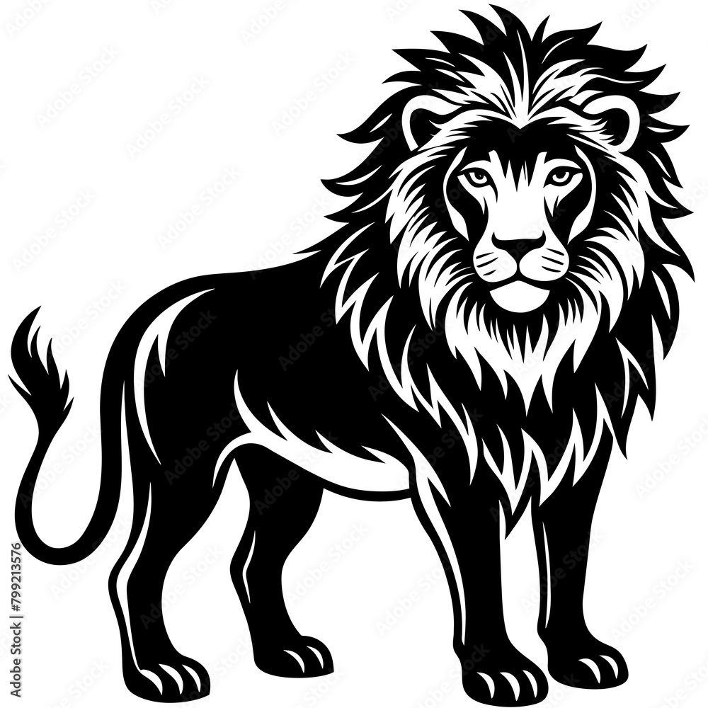lion illustration lion illustration